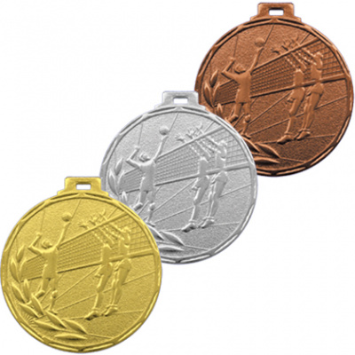 Медаль Волейбол бро